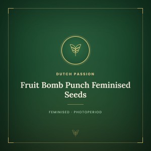Fruit Bomb Punch Feminised Seeds Fruit Bomb Punch Feminised Seeds