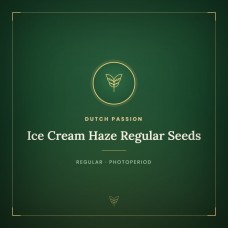 Ice Cream Haze Regular Seeds