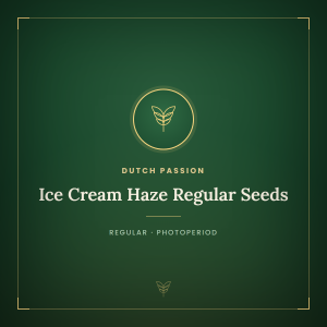 Ice Cream Haze Regular Seeds Ice Cream Haze Regular Seeds