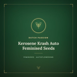 Kerosene Krash Auto Feminised Seeds