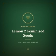 Lemon Z Feminised Seeds