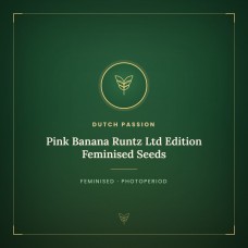 Pink Banana Runtz Ltd Edition Feminised Seeds