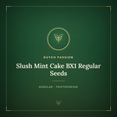Slush Mint Cake BX1 Regular Seeds