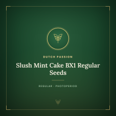 Slush Mint Cake BX1 Regular Seeds Slush Mint Cake BX1 Regular Seeds