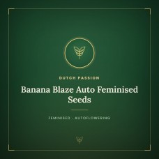 Banana Blaze Auto Feminised Seeds Banana Blaze Auto Feminised Seeds