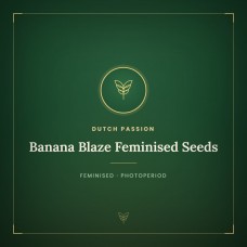 Banana Blaze Feminised Seeds Banana Blaze Feminised Seeds
