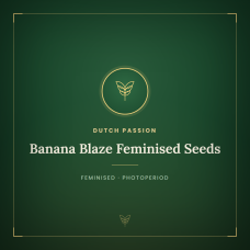 Banana Blaze Feminised Seeds Banana Blaze Feminised Seeds