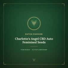 Charlotte's Angel CBD Auto Feminised Seeds