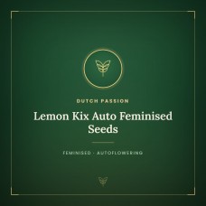 Lemon Kix Auto Feminised Seeds Lemon Kix Auto Feminised Seeds