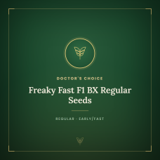 Freaky Fast F1 BX Regular Seeds Freaky Fast F1 BX Regular Seeds