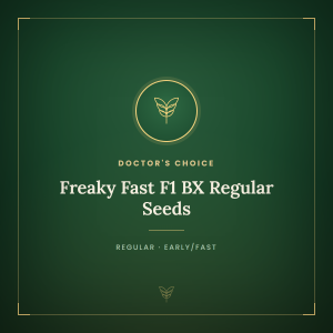 Freaky Fast F1 BX Regular Seeds Freaky Fast F1 BX Regular Seeds