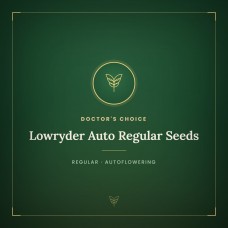 Lowryder Auto Regular Seeds