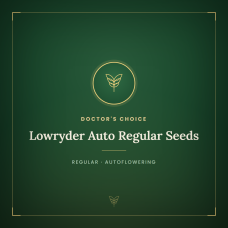 Lowryder Auto Regular Seeds Lowryder Auto Regular Seeds