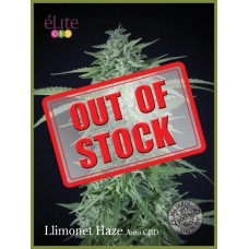 Llimonet Haze CBD Auto Feminised Seeds Llimonet Haze CBD Auto Feminised Seeds