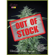 Llimonet Haze CBD Auto Feminised Seeds