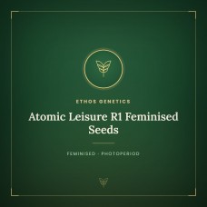Atomic Leisure R1 Feminised Seeds