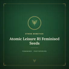 Atomic Leisure R1 Feminised Seeds Atomic Leisure R1 Feminised Seeds