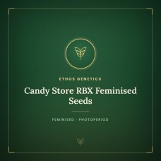Candy Store RBX Feminised Seeds Candy Store RBX Feminised Seeds