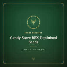 Candy Store RBX Feminised Seeds Candy Store RBX Feminised Seeds