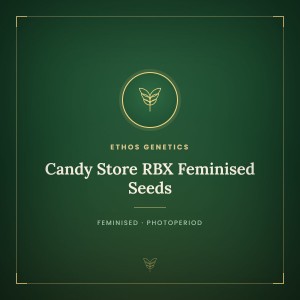 Candy Store RBX Feminised Seeds Candy Store RBX Feminised Seeds
