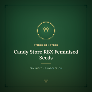 Candy Store RBX Feminised Seeds Candy Store RBX Feminised Seeds