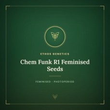 Chem Funk R1 Feminised Seeds Chem Funk R1 Feminised Seeds