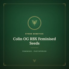 Colin OG RBX Feminised Seeds Colin OG RBX Feminised Seeds