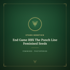 End Game RBX The Punch Line Feminised Seeds End Game RBX The Punch Line Feminised Seeds