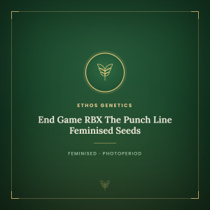 End Game RBX The Punch Line Feminised Seeds End Game RBX The Punch Line Feminised Seeds