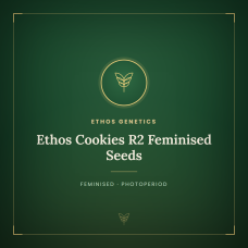 Ethos Cookies R2 Feminised Seeds Ethos Cookies R2 Feminised Seeds