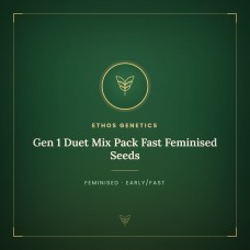 Gen 1 Duet Mix Pack Fast Feminised Seeds Gen 1 Duet Mix Pack Fast Feminised Seeds