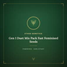 Gen 1 Duet Mix Pack Fast Feminised Seeds Gen 1 Duet Mix Pack Fast Feminised Seeds