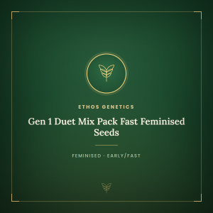 Gen 1 Duet Mix Pack Fast Feminised Seeds Gen 1 Duet Mix Pack Fast Feminised Seeds