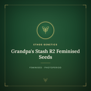 Grandpa's Stash R2 Feminised Seeds Grandpa's Stash R2 Feminised Seeds