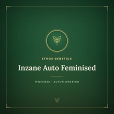 Inzane Auto Feminised Inzane Auto Feminised