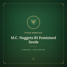 M.C. Nuggets R1 Feminised Seeds