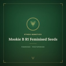 Mookie B R1 Feminised Seeds
