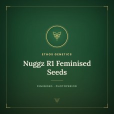 Nuggz R1 Feminised Seeds