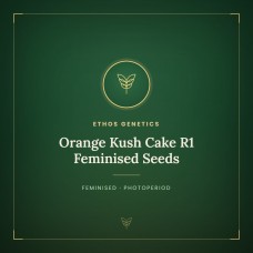 Orange Kush Cake R1 Feminised Seeds