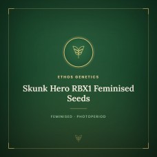 Skunk Hero RBX1 Feminised Seeds Skunk Hero RBX1 Feminised Seeds