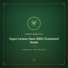 Super Lemon Haze RBX3 Feminised Seeds Super Lemon Haze RBX3 Feminised Seeds