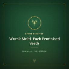Wrank Multi-Pack Feminised Seeds Wrank Multi-Pack Feminised Seeds