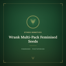 Wrank Multi-Pack Feminised Seeds Wrank Multi-Pack Feminised Seeds