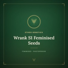 Wrank S1 Feminised Seeds Wrank S1 Feminised Seeds
