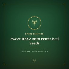 Zweet RBX2 Auto Feminised Seeds Zweet RBX2 Auto Feminised Seeds