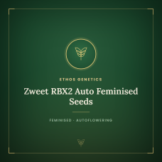 Zweet RBX2 Auto Feminised Seeds Zweet RBX2 Auto Feminised Seeds