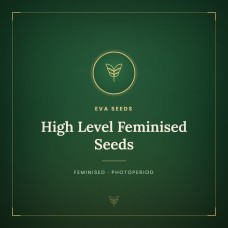 High Level Feminised Seeds High Level Feminised Seeds