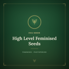 High Level Feminised Seeds High Level Feminised Seeds