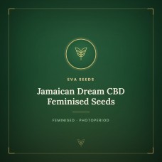 Jamaican Dream CBD Feminised Seeds Jamaican Dream CBD Feminised Seeds