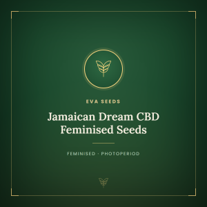 Jamaican Dream CBD Feminised Seeds Jamaican Dream CBD Feminised Seeds